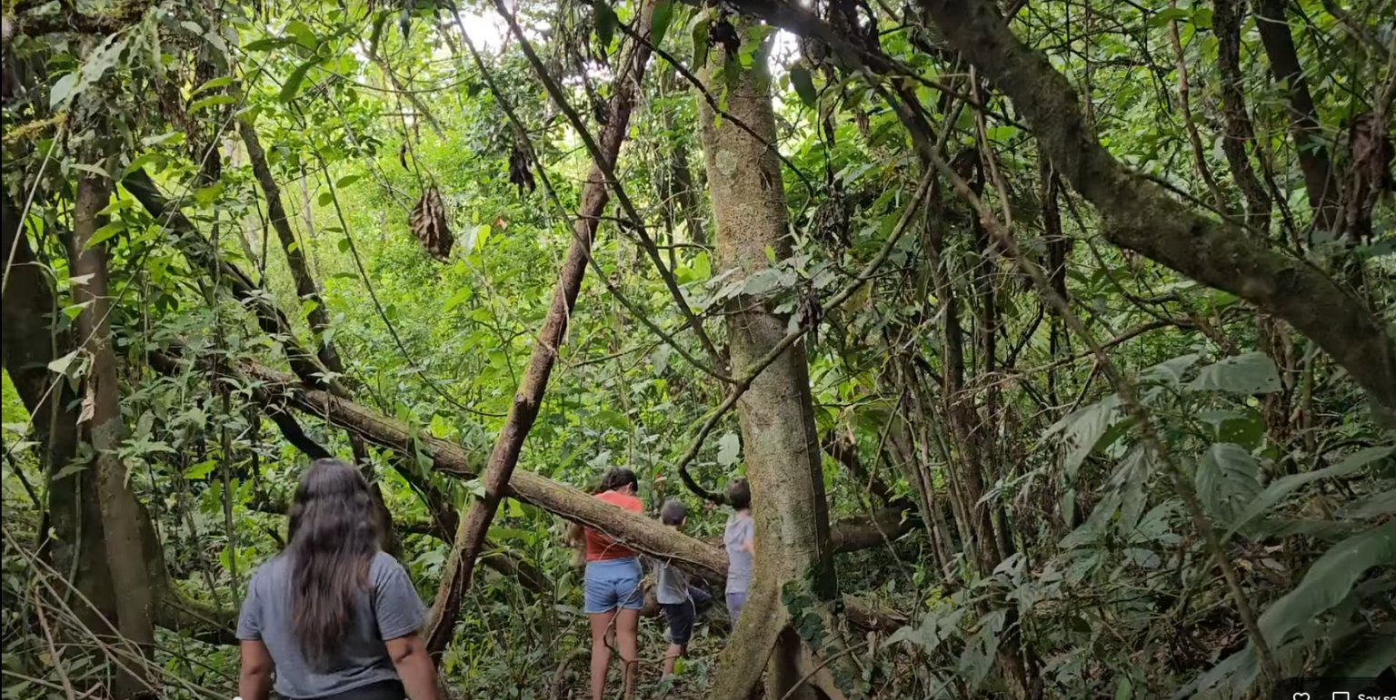 Espacios rodeados de naturaleza