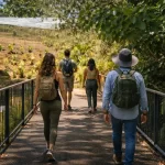 Posibilidad de personalizar tu experiencia